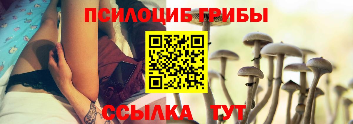 Галлюциногенные грибы Cubensis  Псилоцибиновые грибы Psilocybine cubensis  Ялуторовск  закладка  Вход с VPN 